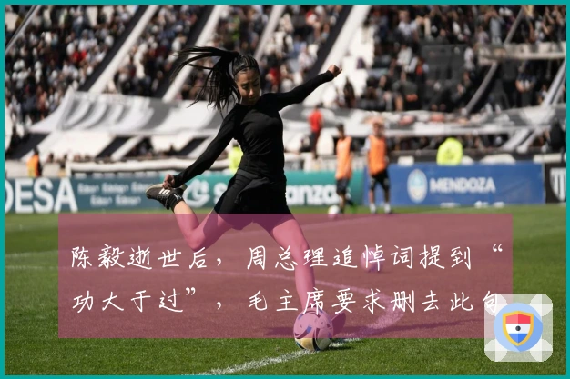 陈毅逝世后，周总理追悼词提到“功大于过”，毛主席要求删去此句
