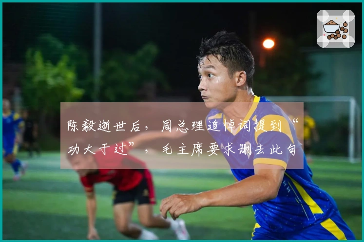 陈毅逝世后，周总理追悼词提到“功大于过”，毛主席要求删去此句