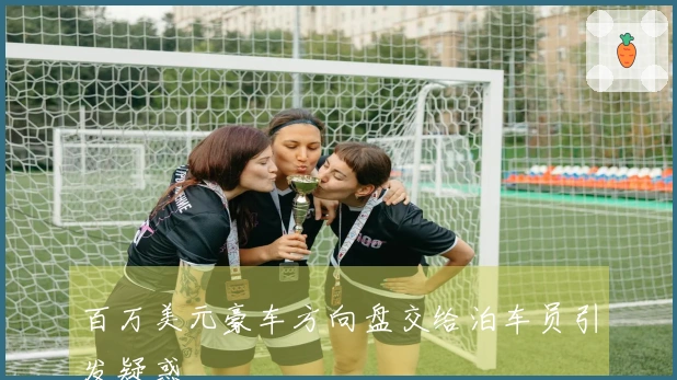 百万美元豪车方向盘交给泊车员引发疑惑