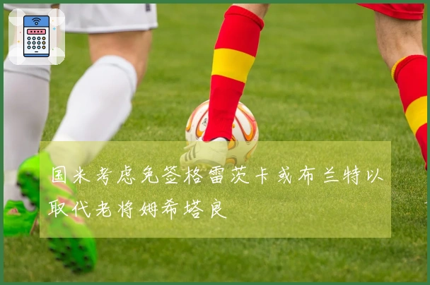 国米考虑免签格雷茨卡或布兰特以取代老将姆希塔良