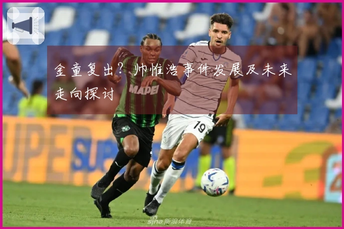 金童复出？帅惟浩事件发展及未来走向探讨