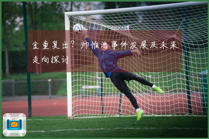 金童复出？帅惟浩事件发展及未来走向探讨