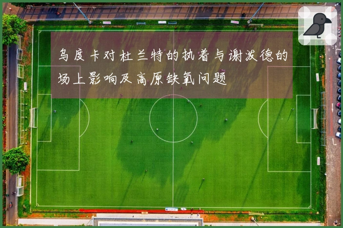 乌度卡对杜兰特的执着与谢泼德的场上影响及高原缺氧问题